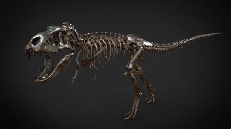 3D Printable Dinosaur Skeleton