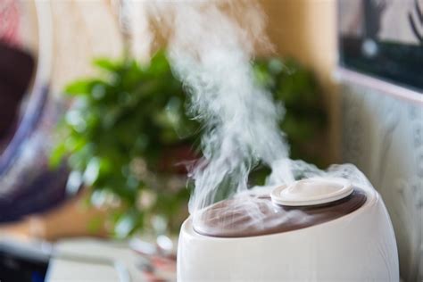 5 usos del humidificador: beneficios y riesgos - Salud - Tudo