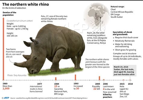 Months after the death of the world's last male northern white rhin ...