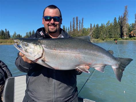 Kenai River fishing report August 2021 - Jim Rusk Fishing Guide Alaska