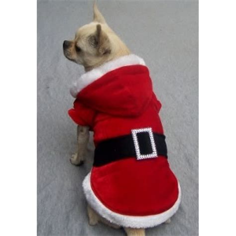 Santa Paws Costume | Christmas dog outfits, Christmas dog, Pet boutique