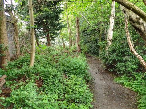 Path, Leeds Beckett University Campus © Mick Garratt cc-by-sa/2.0 :: Geograph Britain and Ireland