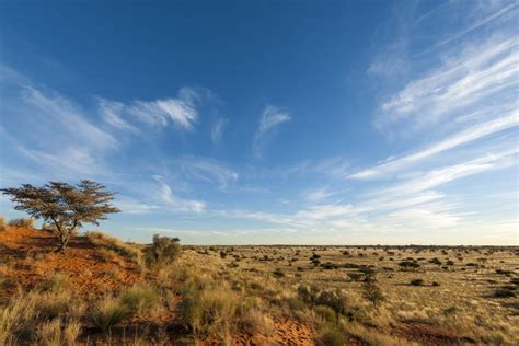 Pofadder, Northern Cape, South Africa