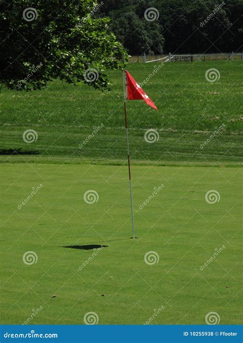 Golf Green and Flag stock photo. Image of travel, fareway - 10255938