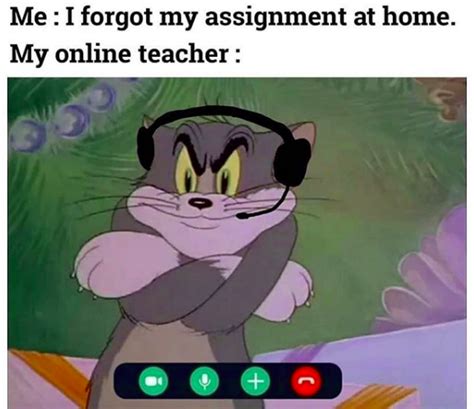 50+ Funny Online School Memes That Every Student Can Relate To