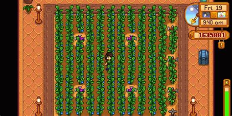 Stardew Valley: Everything You Need To Know About Ancient Fruit