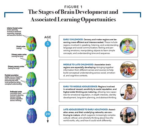 Social, Emotional, and Academic Development report | Centre for Educational Neuroscience