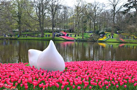 Keukenhof Gardens - Exploring Keukenhof Tulip Gardens