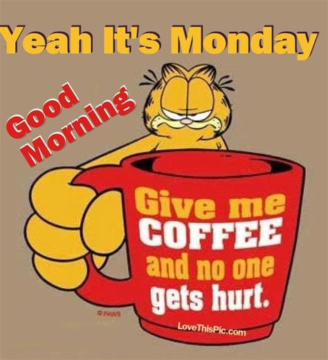 50+ Garfield I Hate Mondays | Quotes, Images, Pics – The Random Vibez