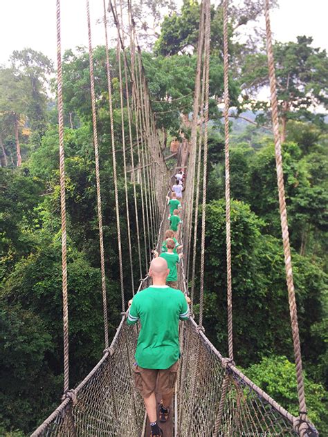 Ghana Canopy Walk: Kakum National Park - Capturing Joy with Kristen Duke