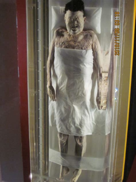 This 2,200 Year Old Mummy is So Well Preserved There's Still Blood in Its Veins | The Vintage News