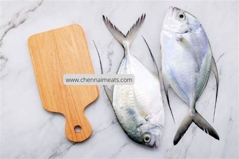 Buy Trevally / Paarai Fish Steaks Online, 40% Offer | Chennai Meats