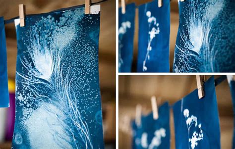 Creative Photography And The Cyanotype Process | Isle Of Harris Artist ...