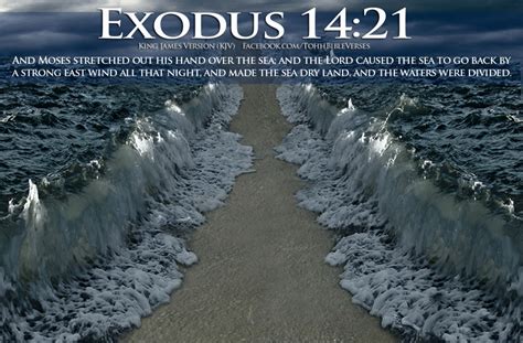 Exodus 21