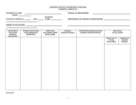 Nursing Care Plan Template Word – Douglasbaseball.com