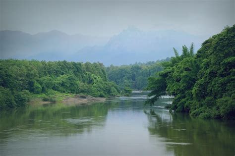 Premium Photo | River landscape