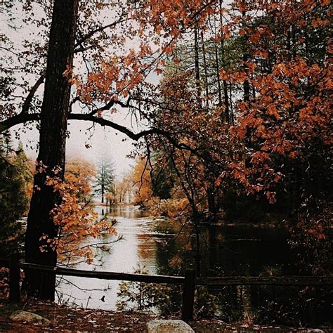 🍂 ･ﾟ⋆｡˚ | | Scenery, Landscape, Autumn aesthetic