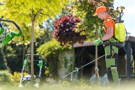 Lawn Weed Control - Tips And Techniques | GARDENS NURSERY