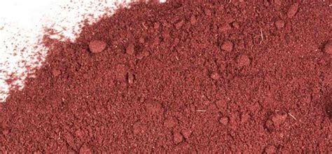 Hibiscus Powder: A Tart And Fruity African Spice