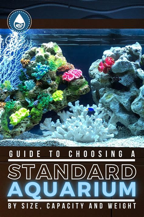 Guide to Choosing a Standard Aquarium By Size, Capacity and Weight in ...