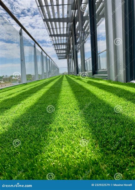 Fake Grass on a High Balcony Stock Image - Image of plasticgrass, high ...