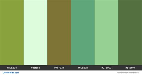 Matcha Green Color Palette