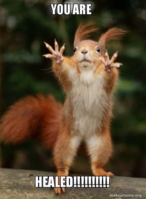 YOU ARE HEALED!!!!!!!!!! - POWER SQUIRREL | Make a Meme | Funny animal ...