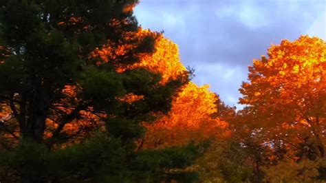 Brilliant Autumn Colors of the Keweenaw | UP of Michigan - YouTube