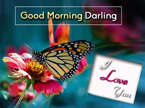 Good Morning Messages For Wife - Romantic Morning Wishes