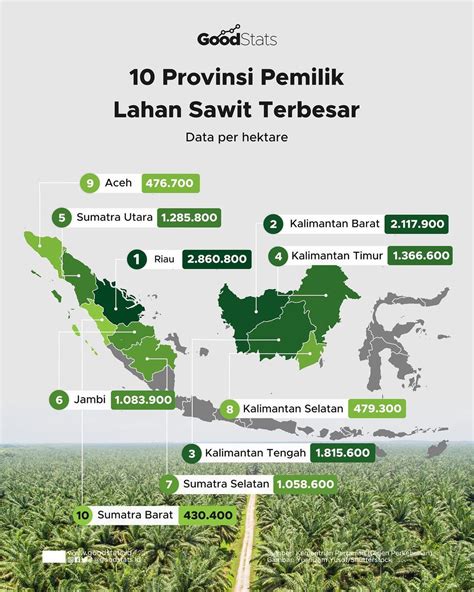 10 Provinsi Pemilik Lahan Sawit Terbesar - GoodStats