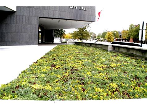 London City Hall, Ontario - Greenroofs.com