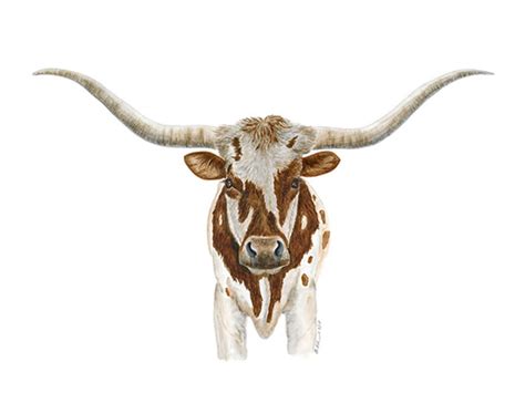 Texas Decor Longhorn Steer Art Farm Animal Print Kitchen - Etsy