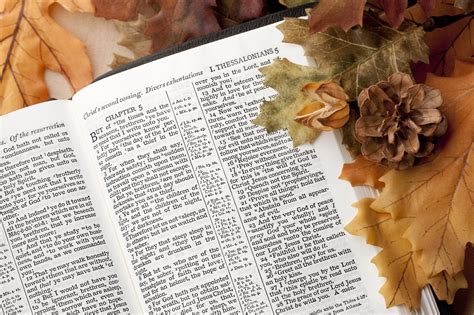 Thanksgiving Bible Verses To Inspire You This Holiday