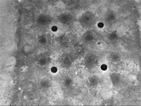 Landmine Thermal Image Series | IEEE DataPort