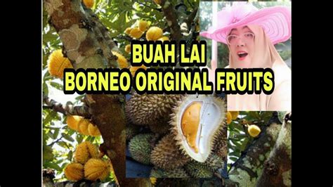 Buah Lai In English / Free online translation from french, russian, spanish, german, italian and ...