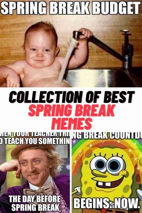 Collection Of Best SPRING BREAK MEMES 2023 - Guide For Geek Moms