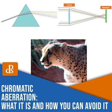 Chromatic Aberration: What It Is and How You Can Avoid It