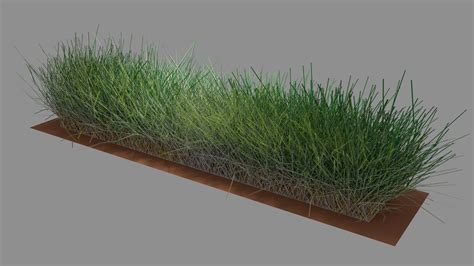 Blender – Grass | coeleveld.com