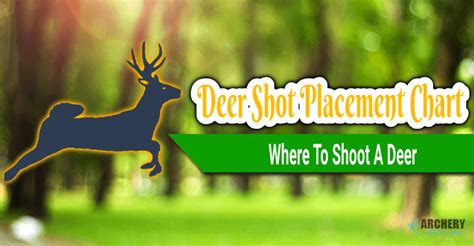 Deer Shot Placement Chart | Where To Shoot A Deer