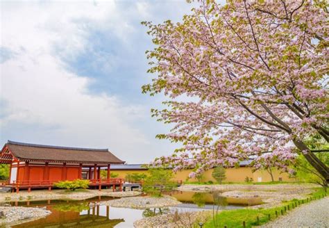 The 6 Best Places to See Cherry Blossoms in Nara, Japan | CuddlyNest