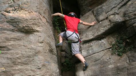 Gravity to Grip: Decoding Climbing Techniques