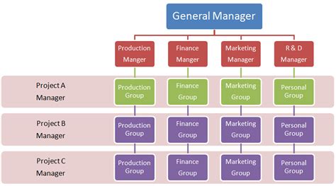 Project Management: Matrix Organization Structure