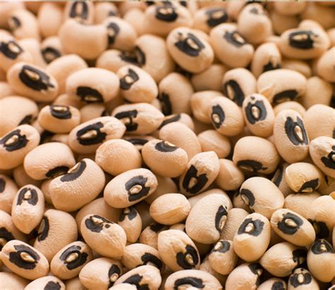 Black Eyed Peas | Northern Kittitas County Tribune