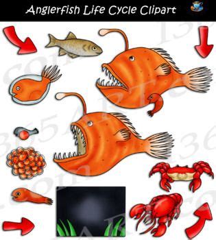 Anglerfish Life Cycle Clipart i 2024