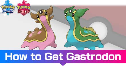 Gastrodon Evolution