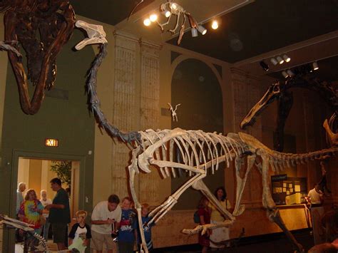 Top 6 Museums In Kenosha, Wisconsin | Trip101