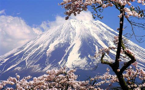 Mt Fuji Japan Landscape Mount Fuji Mountains Hd Wallp - vrogue.co