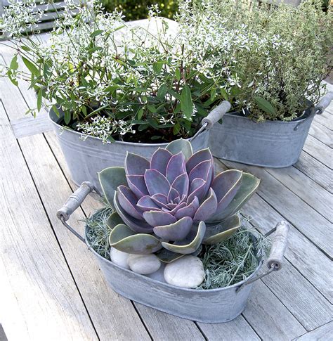 Interesting Balcony Planters That You Would Love To Have - Top Dreamer