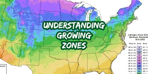 How To Understand Growing Zones & Hardiness Maps To Plant Smart