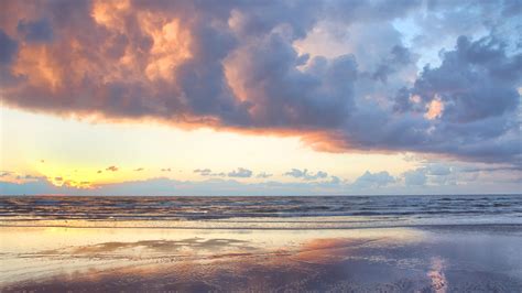 Padre Island National Seashore: The Complete Guide